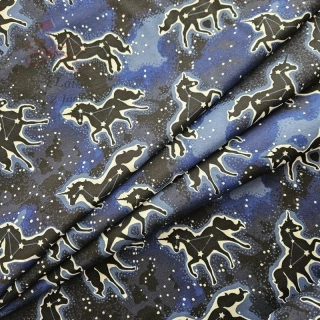 Souhvězdí jednorožce